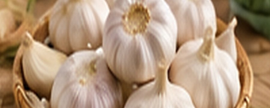 Premium garlic