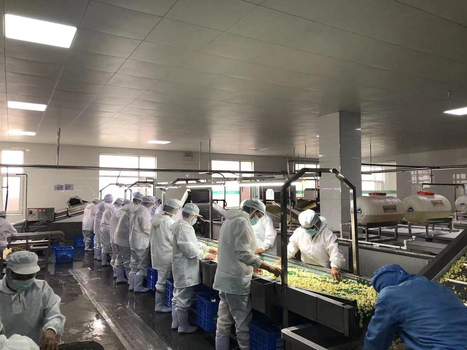 Yuehe Food quality and production capability