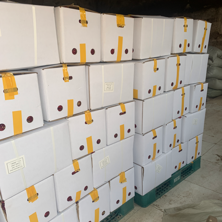 Carton Sealing