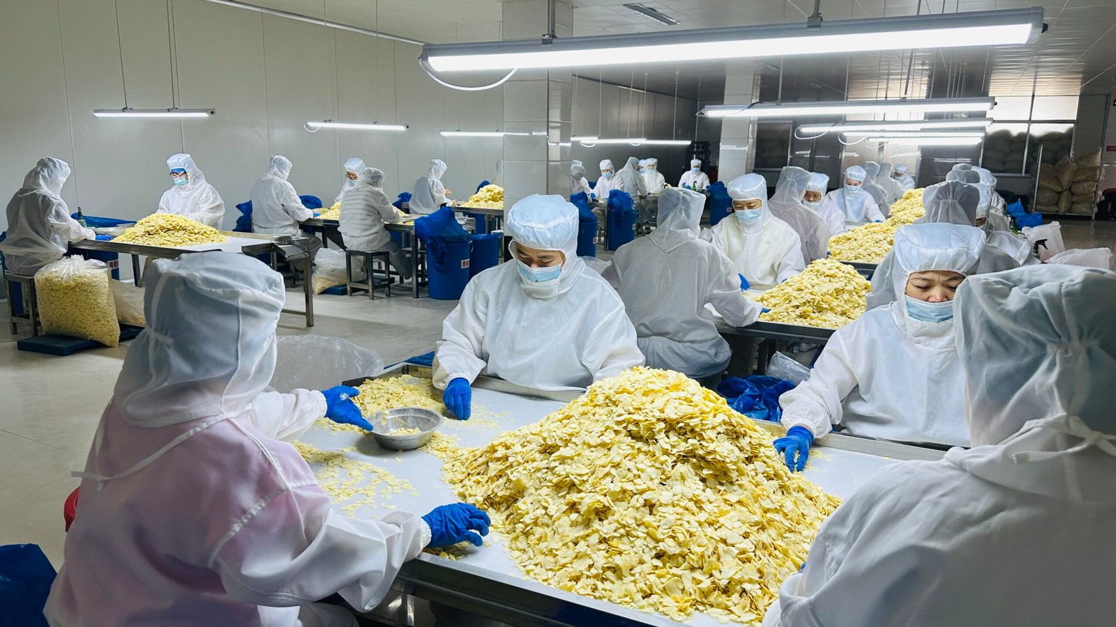 Yuehe garlic processing line
