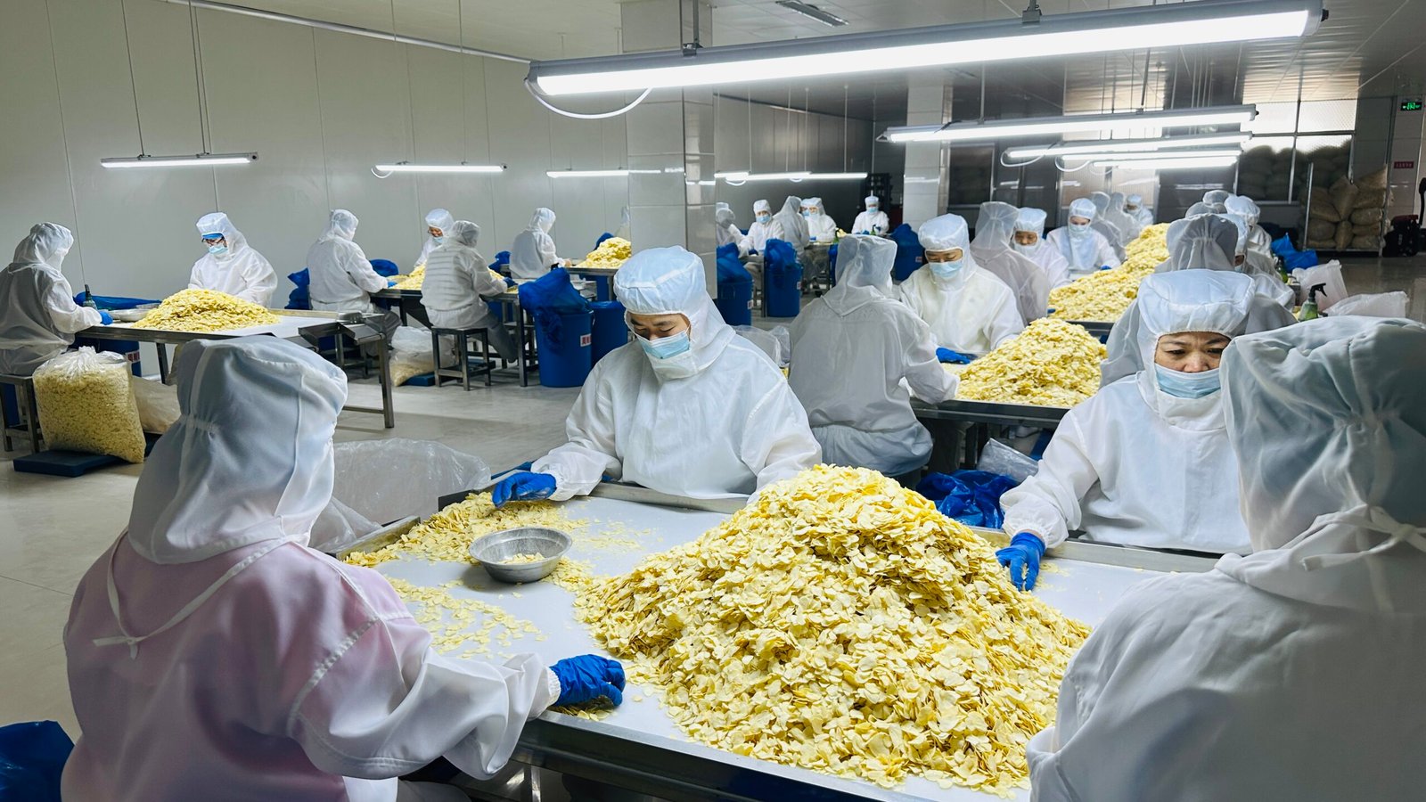 Factory banner