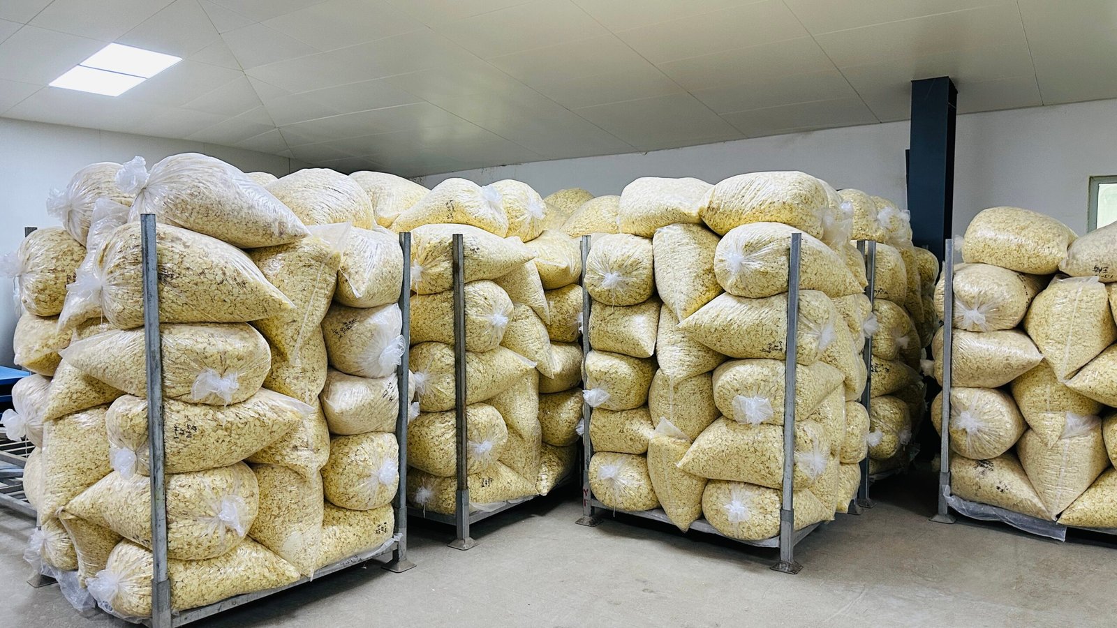 Garlic warehouse and inventory