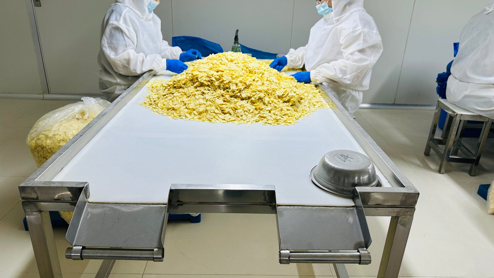 European Demand for Dried Garlic Continues to Grow