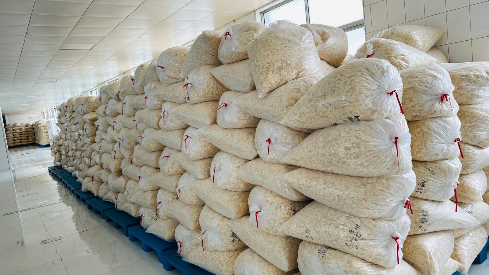 Yuehe garlic warehouse and export operations