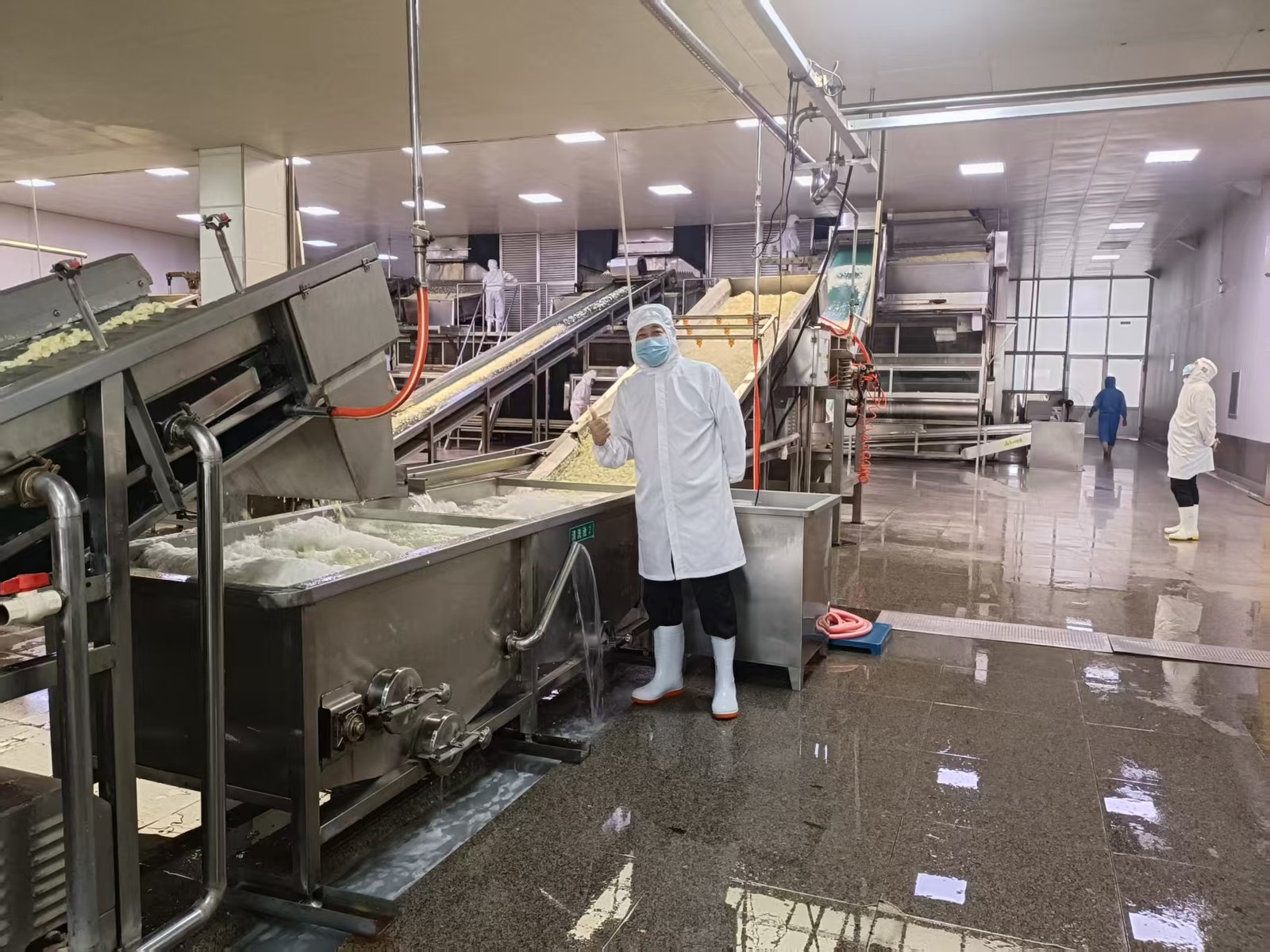 Chinese Dried Garlic Maintains a Leading Position in the European Market